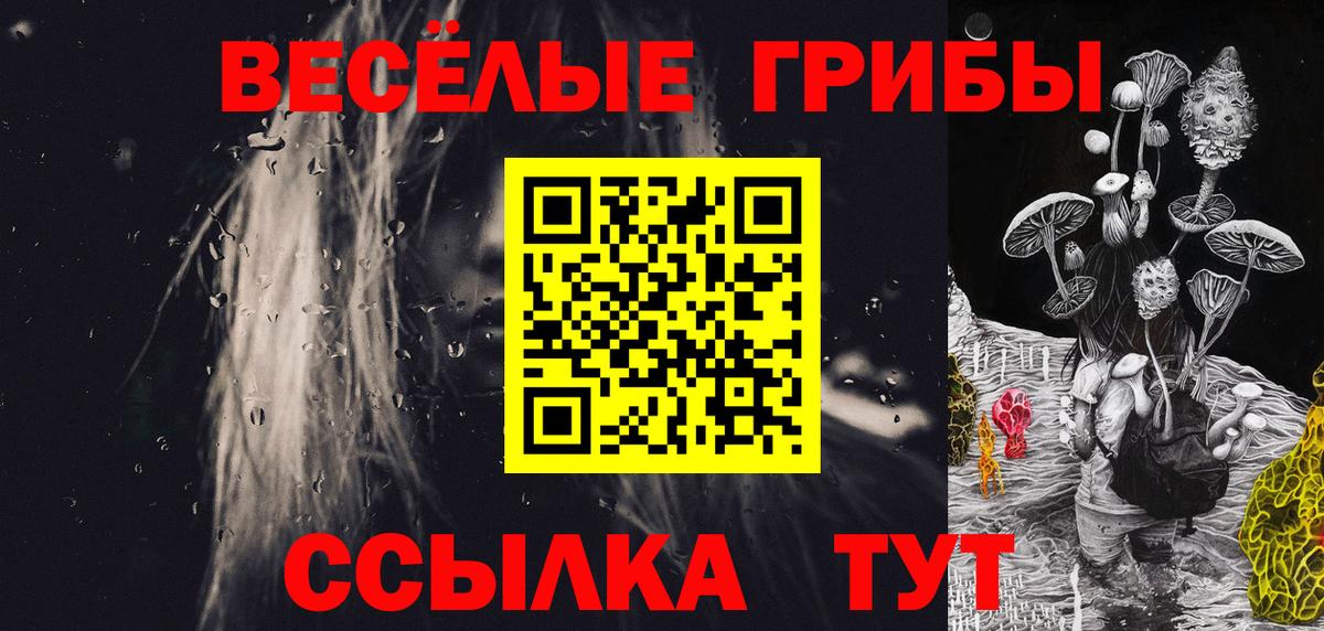 Химки  Псилоцибиновые грибы прущие грибы  купить наркотики сайты  Вход с VPN  Псилоцибиновые грибы прущие грибы 